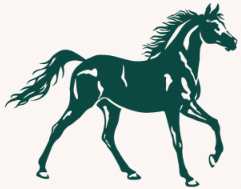 REINS