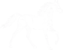 REINS